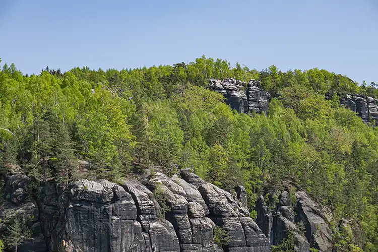 Blick von der Höllenwand zur Carolaaussicht Blick von der Höllenwand zur Carolaaussicht
