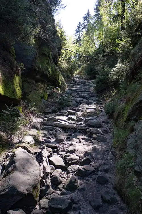 Aufstieg von der Affensteinpromenade zum Carolafelsen Aufstieg von der Affensteinpromenade zum Carolafelsen