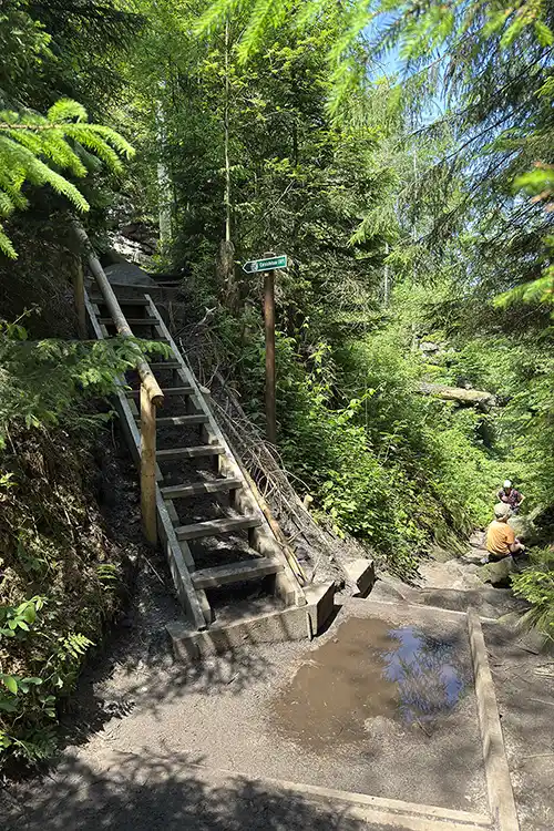 Elbsandsteingebirge - Leiter zur Carola-Aussicht Elbsandsteingebirge - Leiter zur Carola-Aussicht