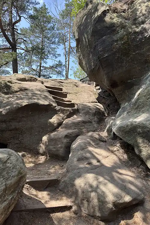 Aufstieg zur Carola-Aussicht Aufstieg zur Carola-Aussicht